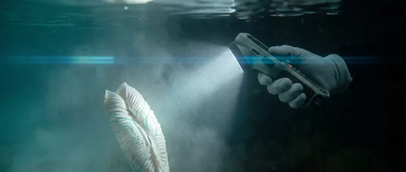 Underwater, a gloved hand aims a flat instrument at a pale furled organism drifting in the beam.