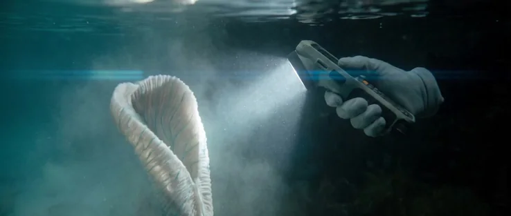First contact with something that unfolds
